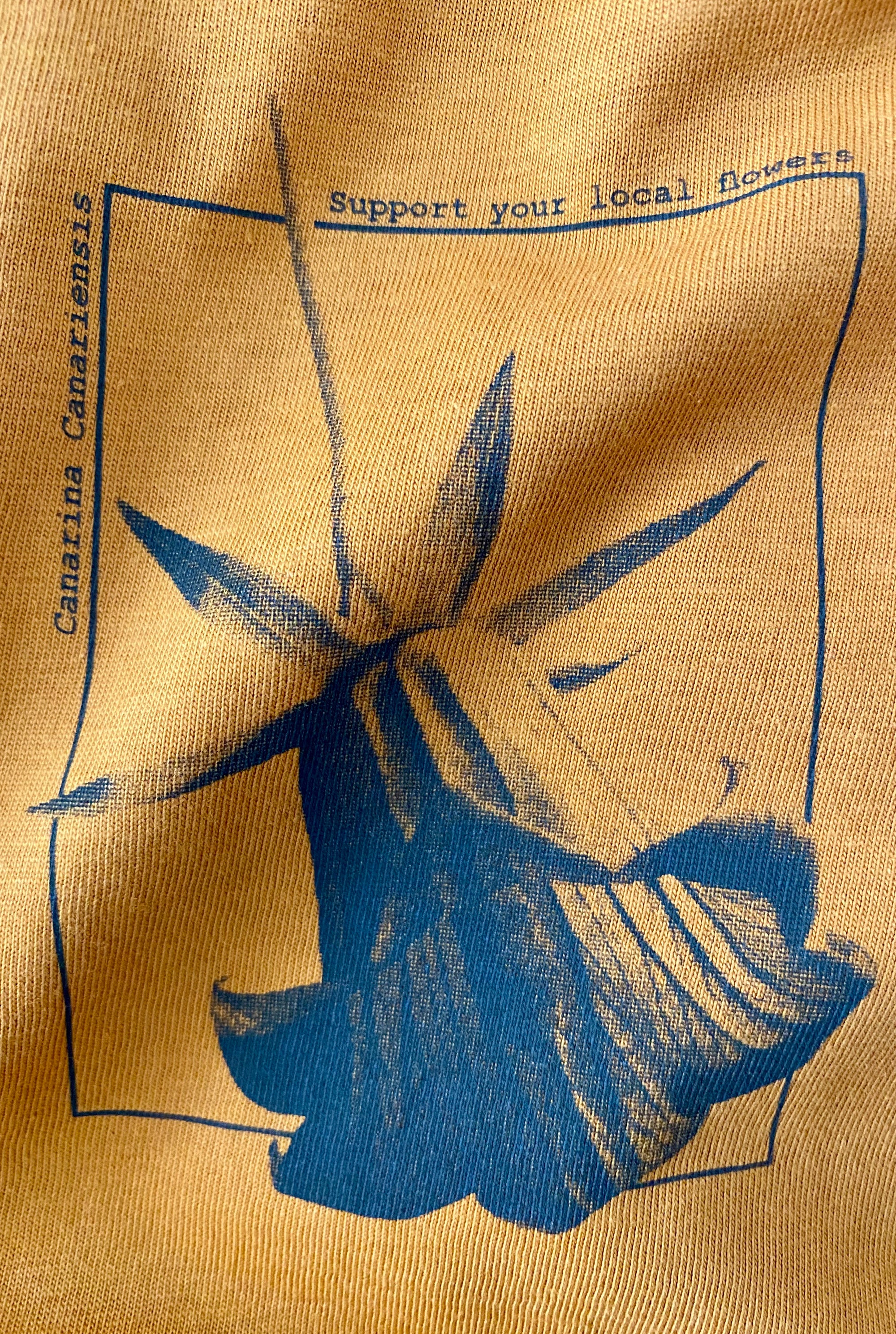 CANARINA