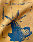 CANARINA