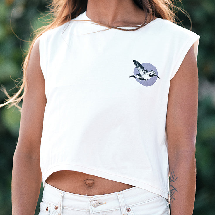 COLIBRÍ