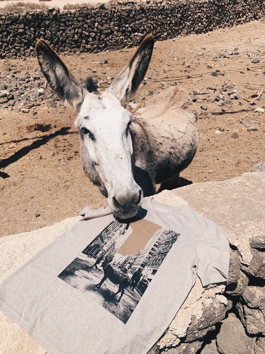 BURRO